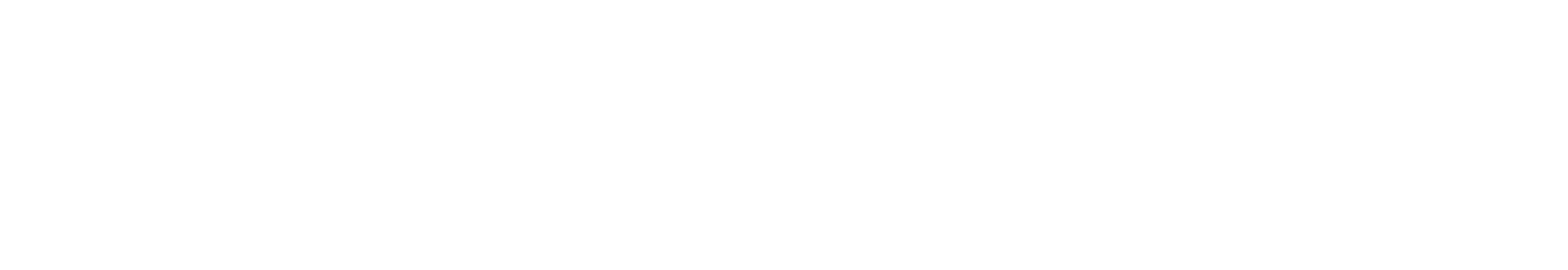 özlem özdeniz logo