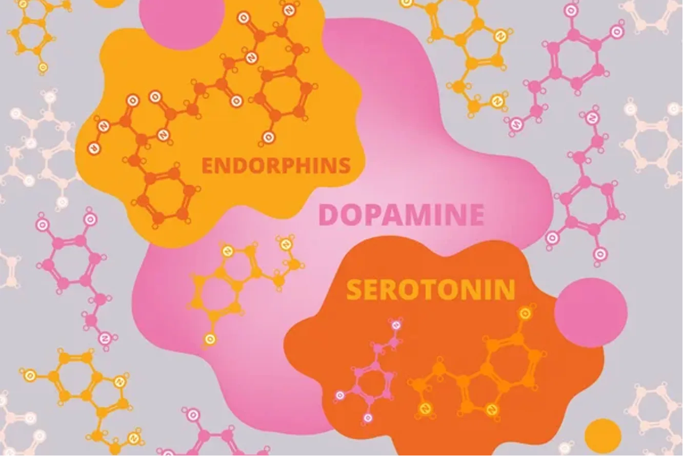 Mutluluk Bağımlısı